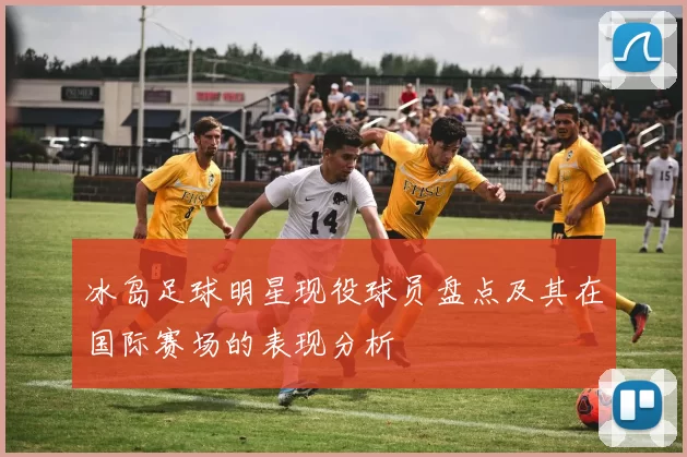 冰岛足球明星现役球员盘点及其在国际赛场的表现分析