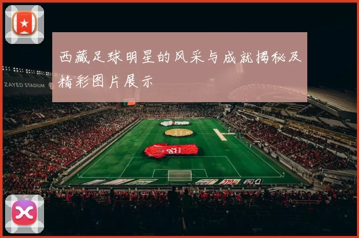西藏足球明星的风采与成就揭秘及精彩图片展示