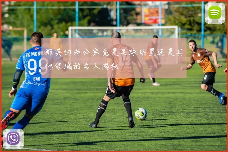 那英的老公究竟是足球明星还是其他领域的名人揭秘