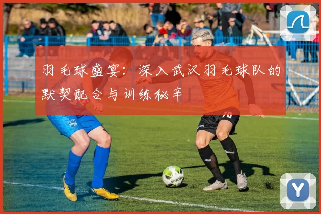 羽毛球盛宴：深入武汉羽毛球队的默契配合与训练秘辛