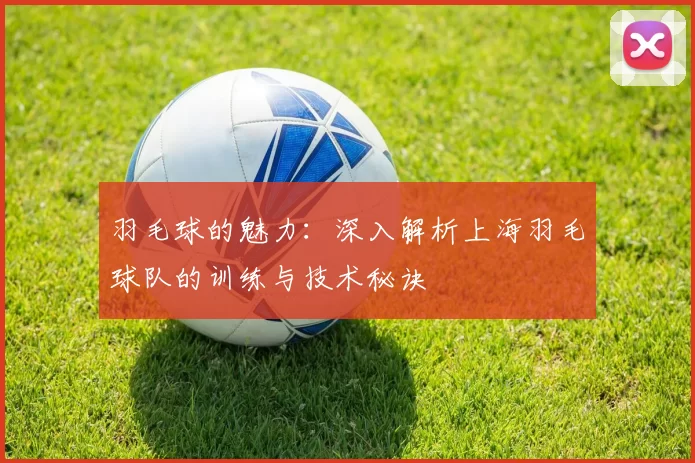 羽毛球的魅力：深入解析上海羽毛球队的训练与技术秘诀