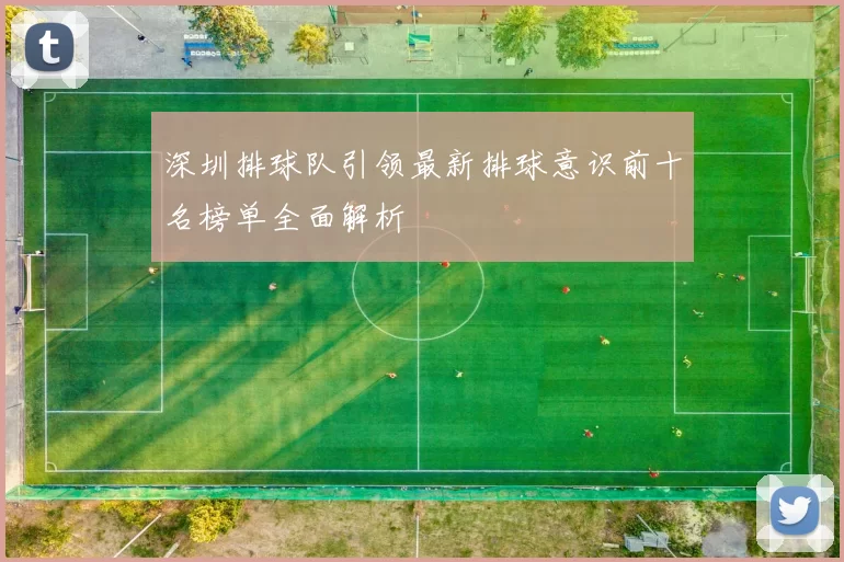 深圳排球队引领最新排球意识前十名榜单全面解析