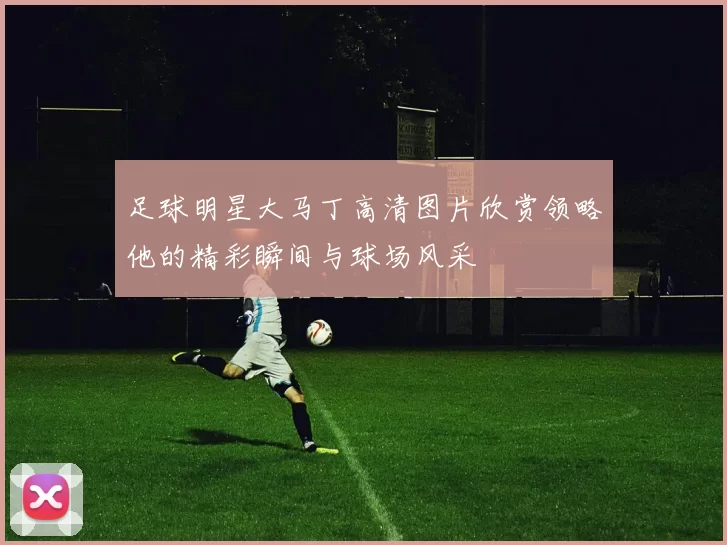 足球明星大马丁高清图片欣赏领略他的精彩瞬间与球场风采