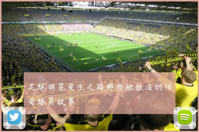 足球明星重生之路那些被救活的传奇球员故事
