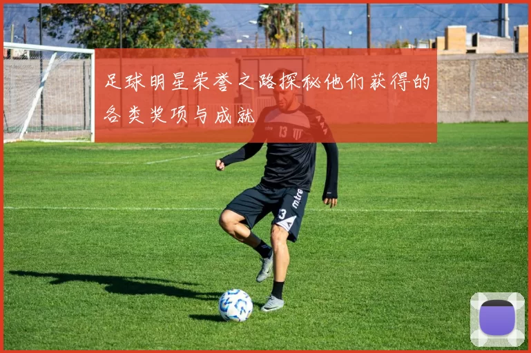 足球明星荣誉之路探秘他们获得的各类奖项与成就
