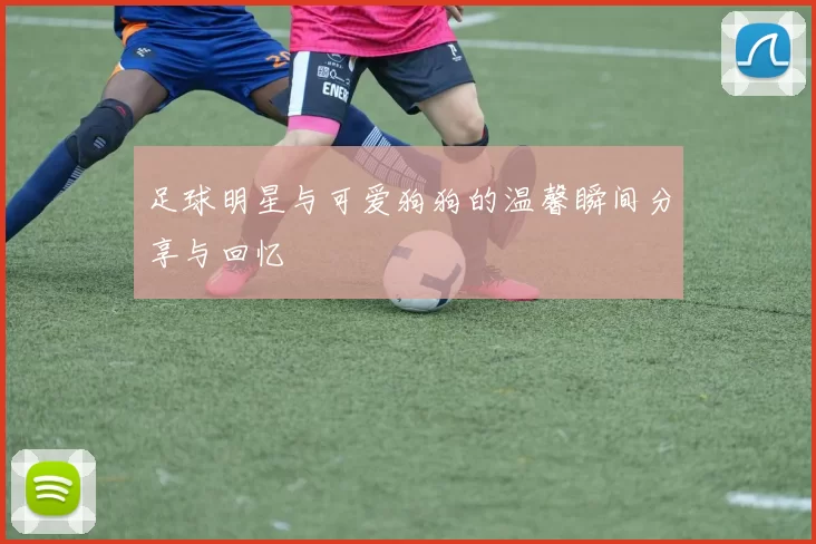 足球明星与可爱狗狗的温馨瞬间分享与回忆