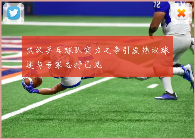武汉乒乓球队实力之争引发热议球迷与专家各抒己见