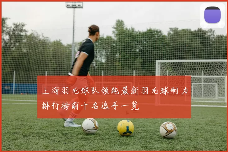 上海羽毛球队领跑最新羽毛球耐力排行榜前十名选手一览