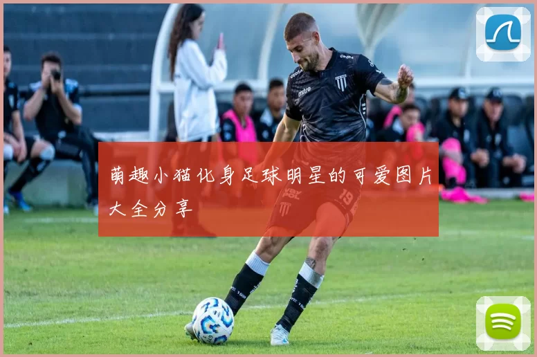 萌趣小猫化身足球明星的可爱图片大全分享