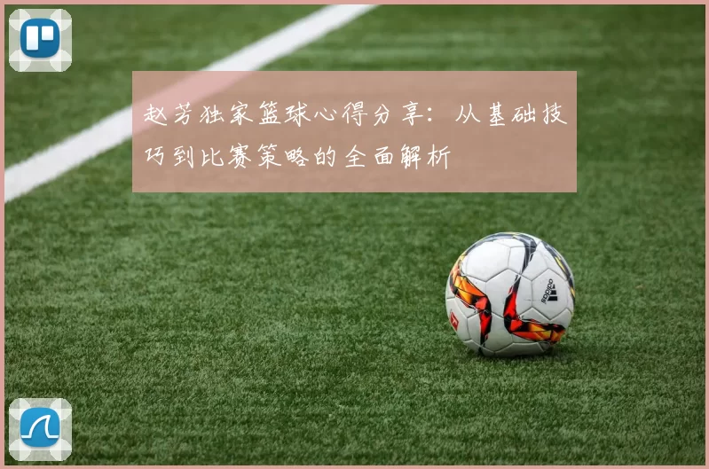 赵芳独家篮球心得分享：从基础技巧到比赛策略的全面解析