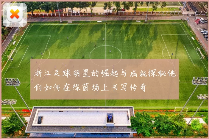 浙江足球明星的崛起与成就探秘他们如何在绿茵场上书写传奇