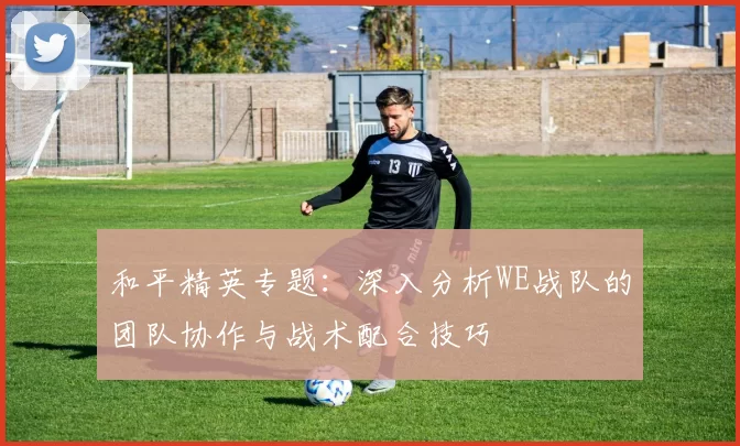 和平精英专题：深入分析WE战队的团队协作与战术配合技巧
