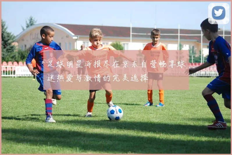 足球明星海报尽在京东自营畅享球迷热爱与激情的完美选择