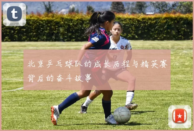 北京乒乓球队的成长历程与精英赛背后的奋斗故事