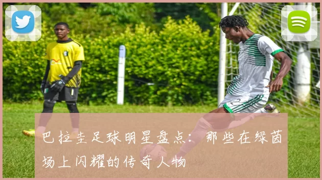 巴拉圭足球明星盘点：那些在绿茵场上闪耀的传奇人物