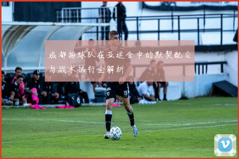 成都排球队在亚运会中的默契配合与战术执行全解析