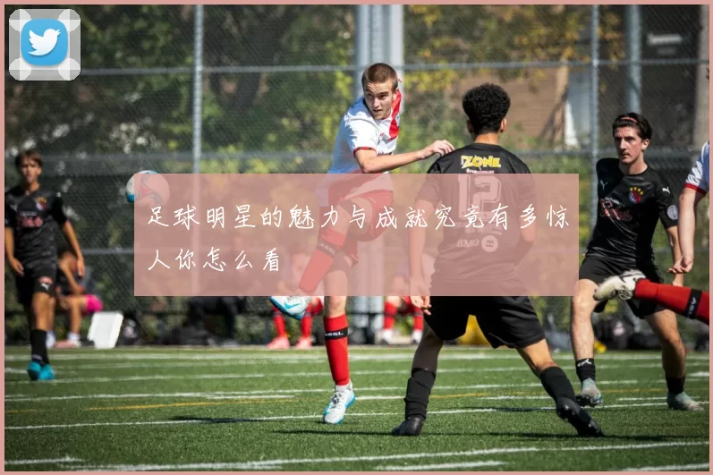 足球明星的魅力与成就究竟有多惊人你怎么看