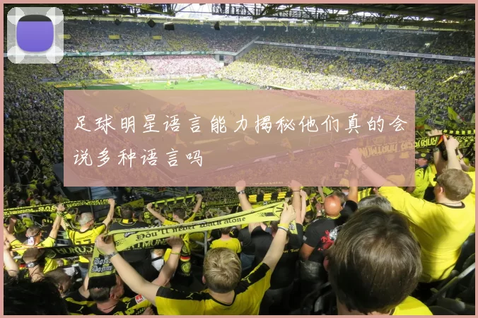 足球明星语言能力揭秘他们真的会说多种语言吗
