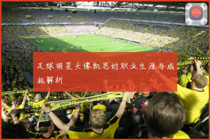 足球明星头像凯恩的职业生涯与成就解析