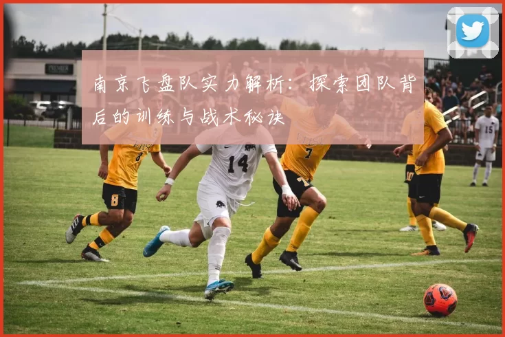 南京飞盘队实力解析：探索团队背后的训练与战术秘诀