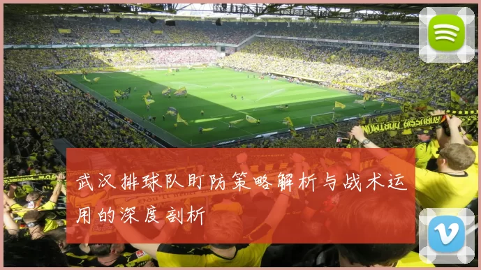 武汉排球队盯防策略解析与战术运用的深度剖析